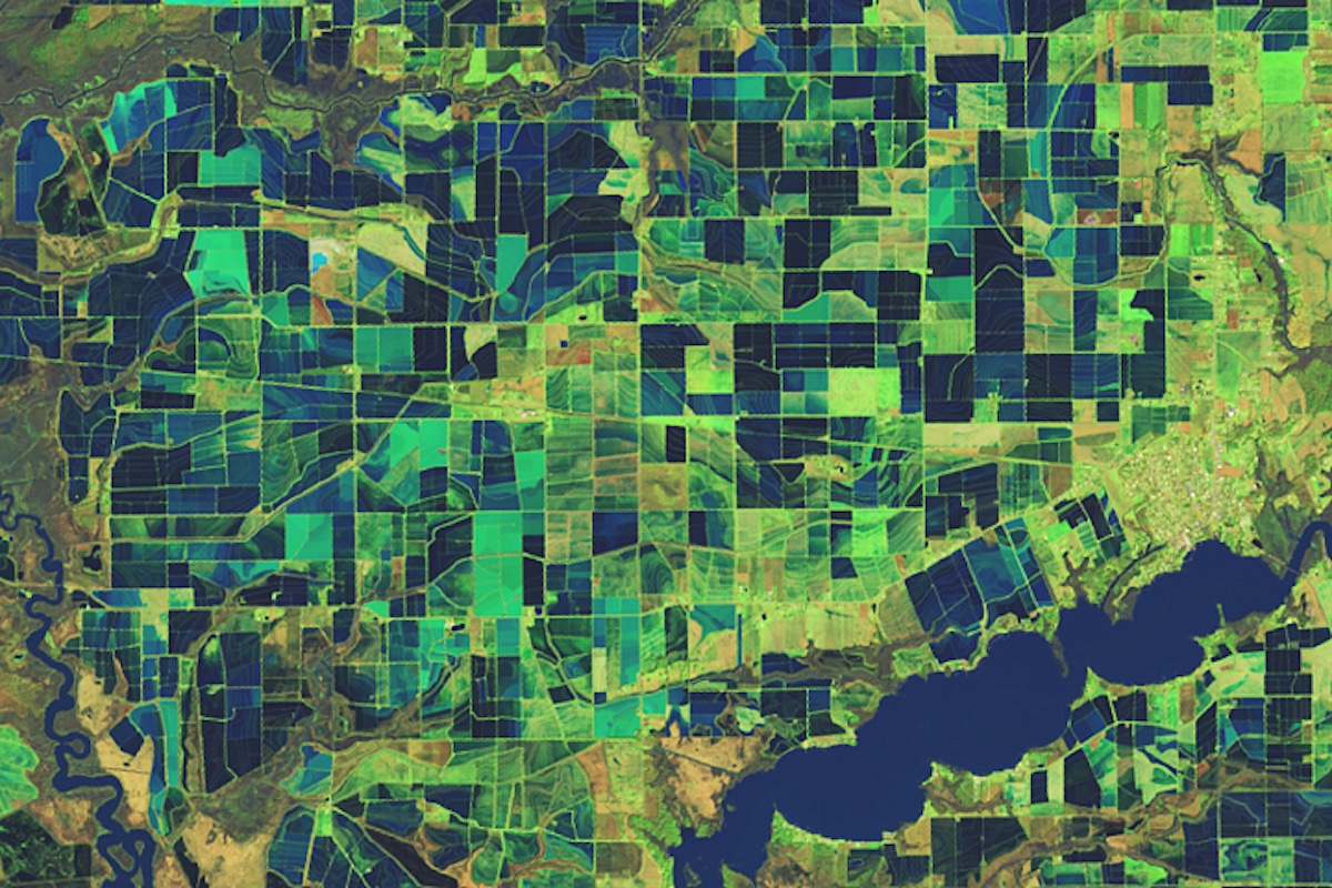 Una foto di campi coltivati scattata da un satellite